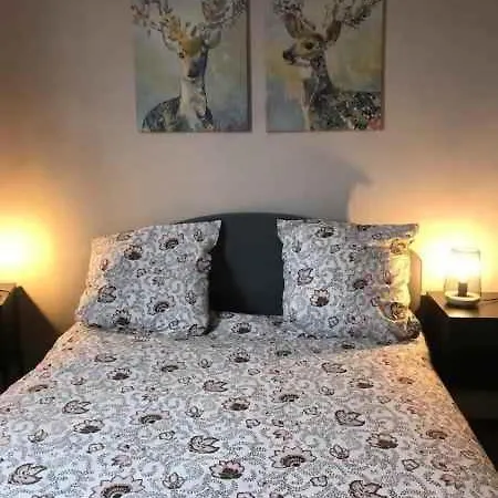 Bel Hypercentre T3/70 M2 Appartement *